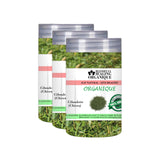 Blessfull Healing Organic Chives 100 Gram (3.52 oz) Each (Pack Of 3) = 300 Grams, Vegan