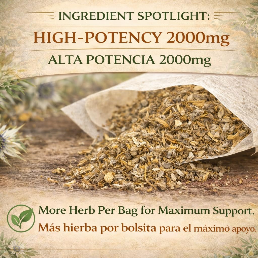 Hierba del Sapo Mexican Herbal Tea - 24 Premium Tea Bags (2000mg per Bag) - Authentic 100% Natural Mexican Thistle (Eryngium heterophyllum)