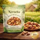 In-Shell Mixed Nuts Selection - Raw Almonds, Walnuts, Hazelnuts and Pecans, Unsalted Mixed Nuts in Shell, Assorted Whole Nuts Variety Pack, Natural