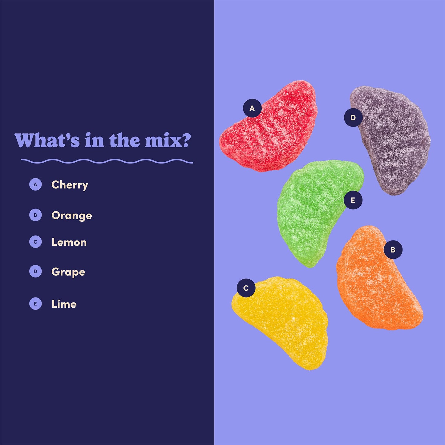 Nuts com Fruit Slice Candy - Assorted Gummy Fruit Slices, Sugar Coated Jelly Candy, Candied Fruit Slices Mix, Cherry Orange Lemon Grape Lime, Jellied