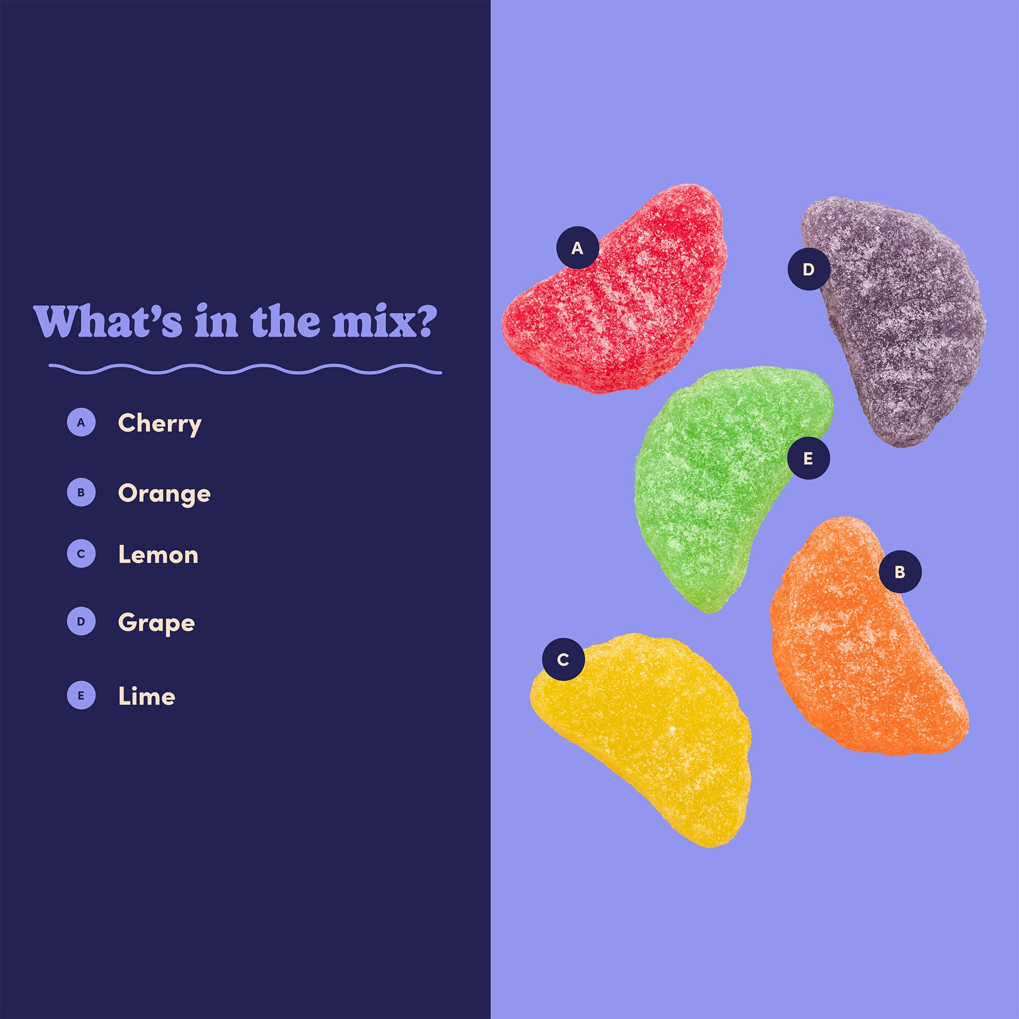 Nuts com Fruit Slice Candy - Assorted Gummy Fruit Slices, Sugar Coated Jelly Candy, Candied Fruit Slices Mix, Cherry Orange Lemon Grape Lime, Jellied