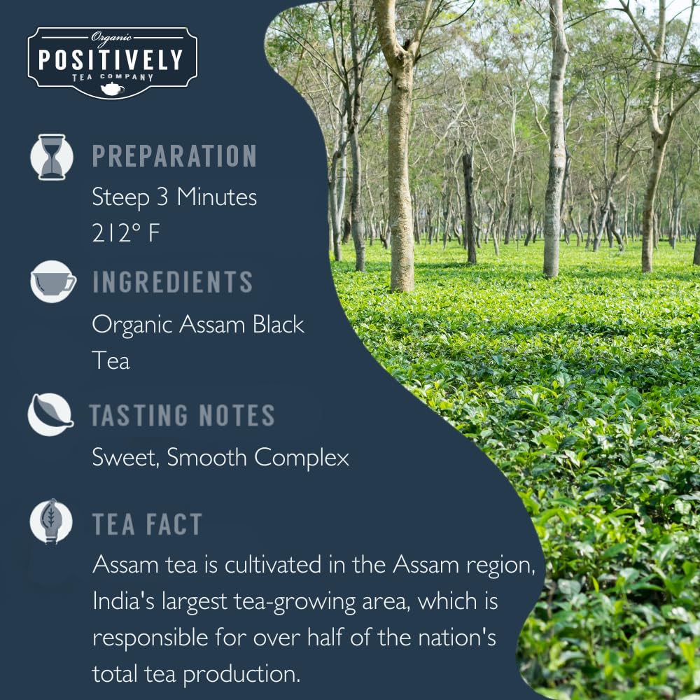 Organic Positively Tea Company, Assam Black Tea Bags, 100 Count, Eco-Friendly Tea Bags, Non-GMO