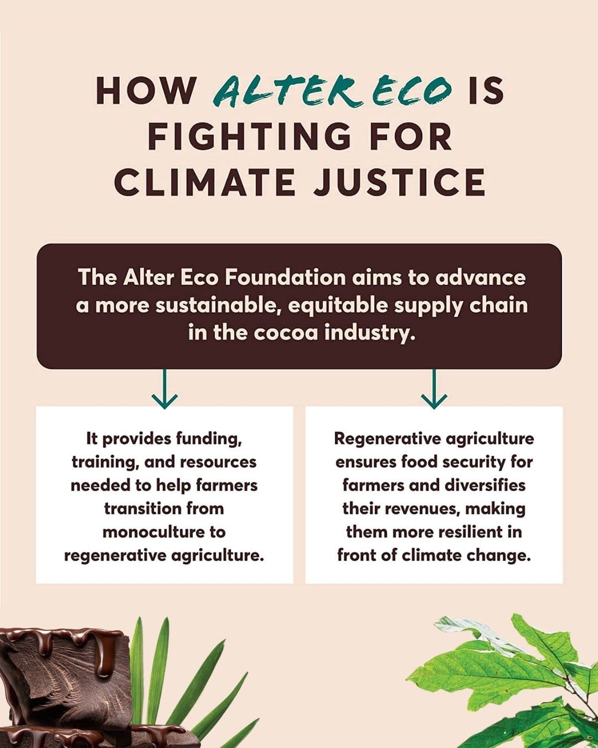 Alter Eco |Classic Dark Chocolate Truffles | Pure Dark Cocoa, Fair Trade, Organic, Non-GMO, Gluten Free Dark Chocolate Truffles | 60 Truffles