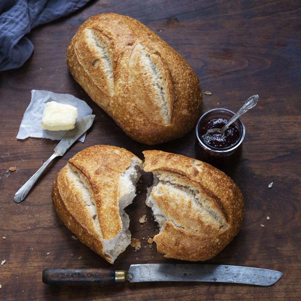 La Brea Bakery Sourdough Loaf, 16 Ounce -- 12 Per Case