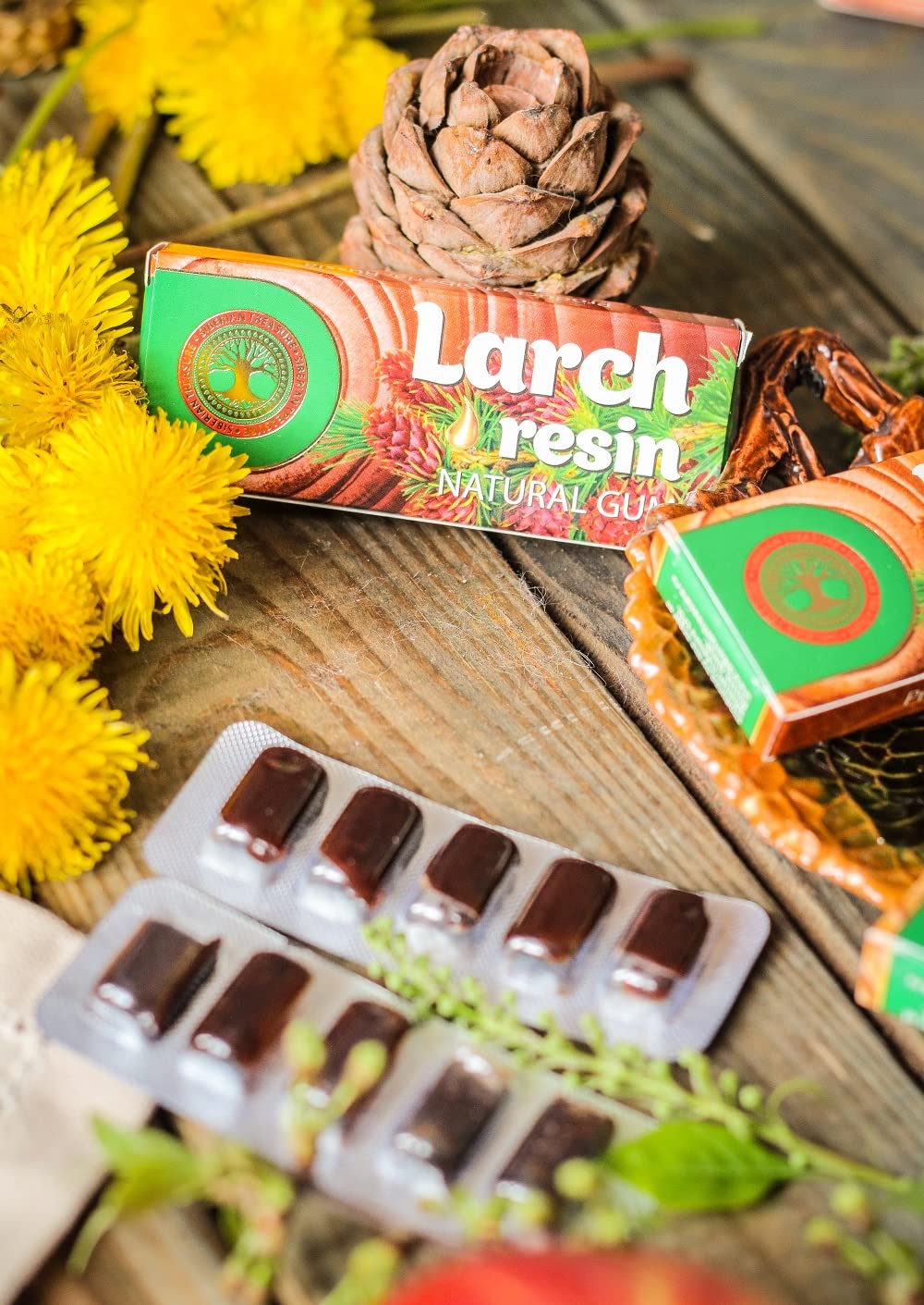 Siberian Larch Resin, Natural Gum, No Sugar, Non-Gmo, 5 Packs (25 Pieces)