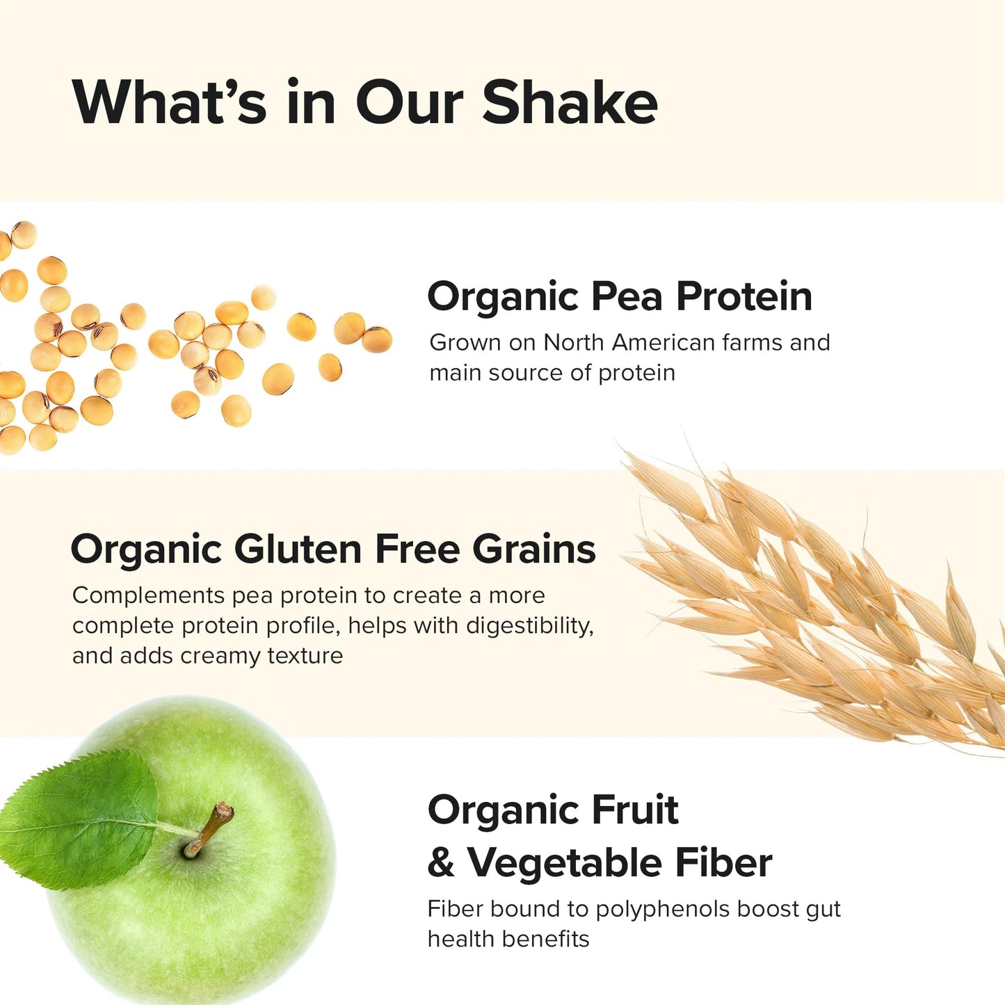 Sur Nutrition Organic Meal Replacement Shake - 23g Plant Protein, 12g Fiber, Gut Health Support, Vegan (Chocolate)