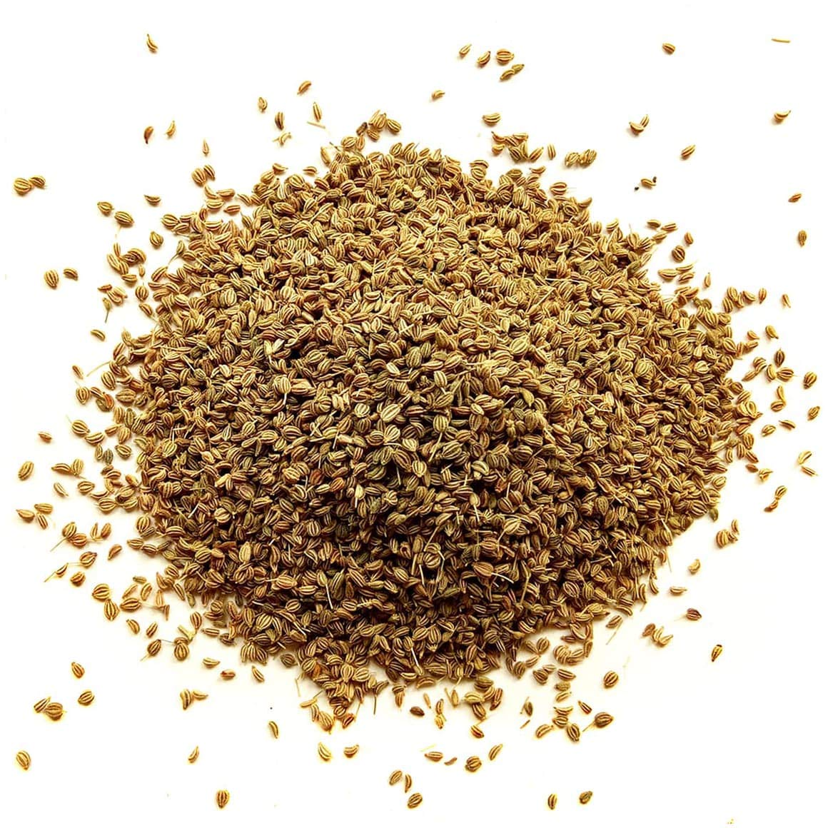 Food to Live Whole Celery Seeds, 1 Pound - Dried Spice, Vegan, Kosher, Bulk. Intense Flavor. Rich in Iron, Zinc, Fiber. Perfect for Pickling
