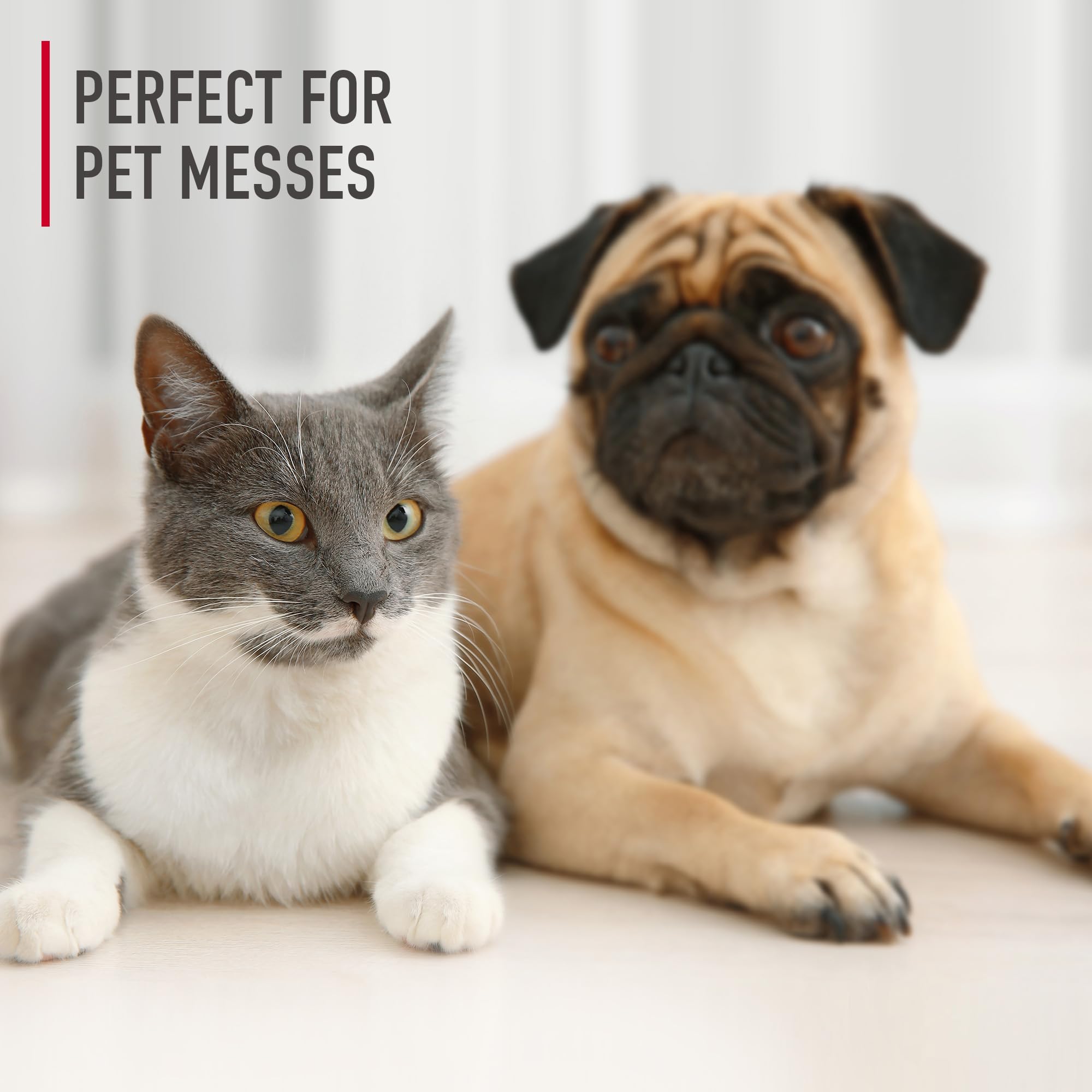 Hoover Pet Carpet Cleaner Solution, 128 oz., Tropical Breeze Scent, Deep Cleaning Shampoo Solution, Eliminates Urine Stains and Odors, Pair Carpet