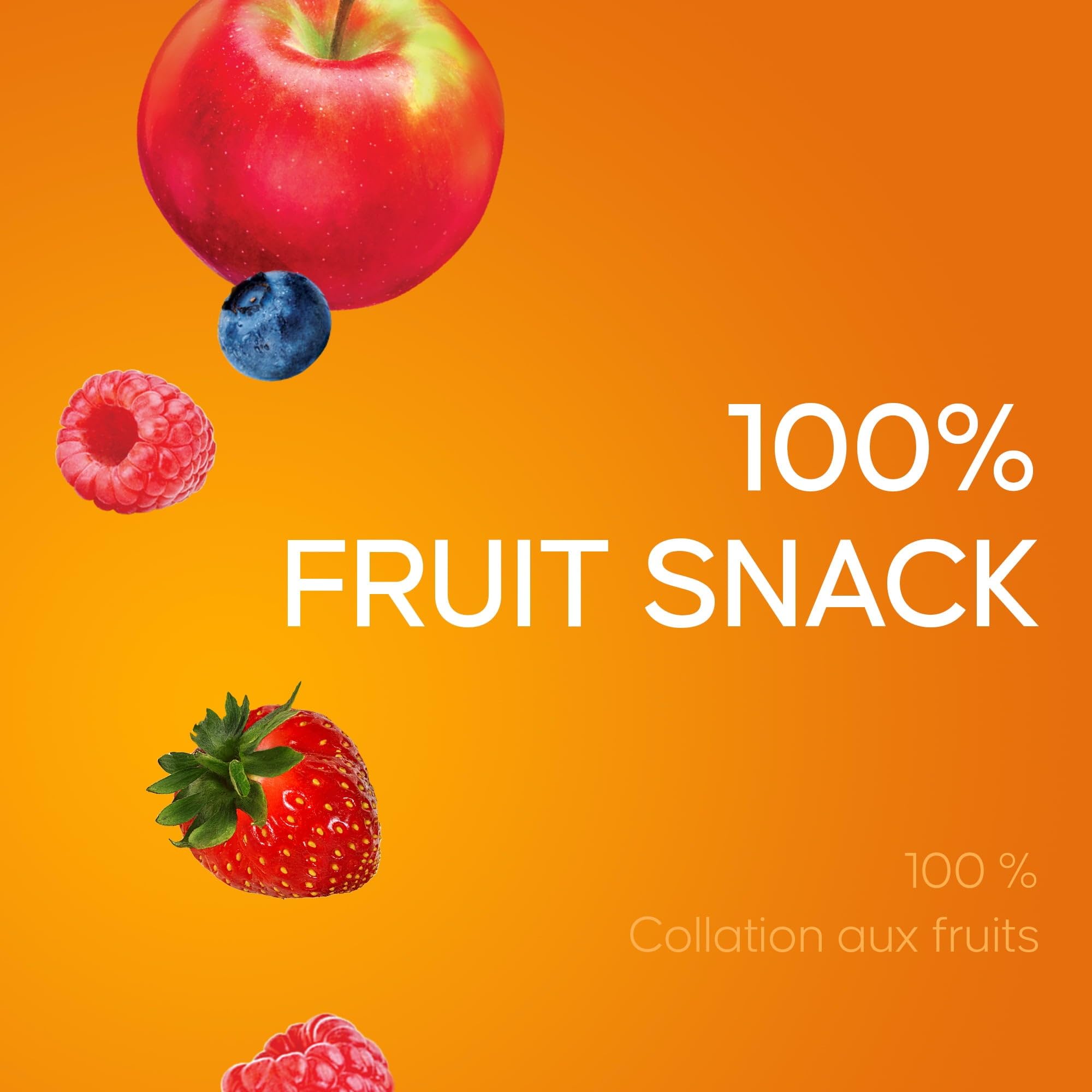 SunRype FruitSource SunRype Fruit to GoFruit Snack Variety Pack, 336g12oz, {Imported from Canada}