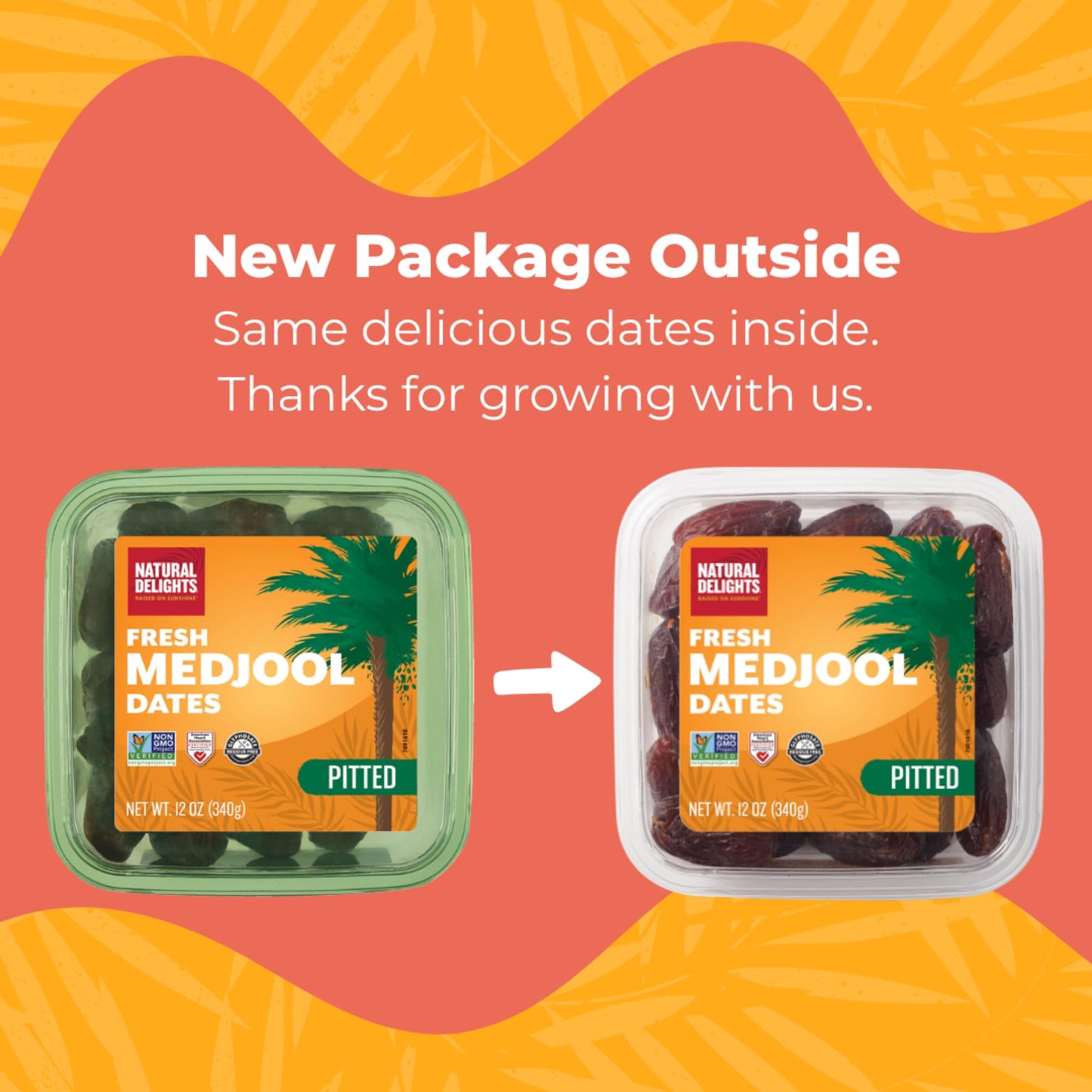 Natural Delights Medjool Dates Pitted - Non-GMO Verified Fruit, Good Source of Fiber & Potassium, Naturally Sweet, Snack for On-The-Go, Large & Plump