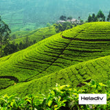 HELADIV Kenilworth Estate Ceylon Loose Leaf Black Tea, 1lb Bag, Aromatic & Full-Bodied, Smooth & Satisfying Brew, Ethically Sourced from Sri Lanka
