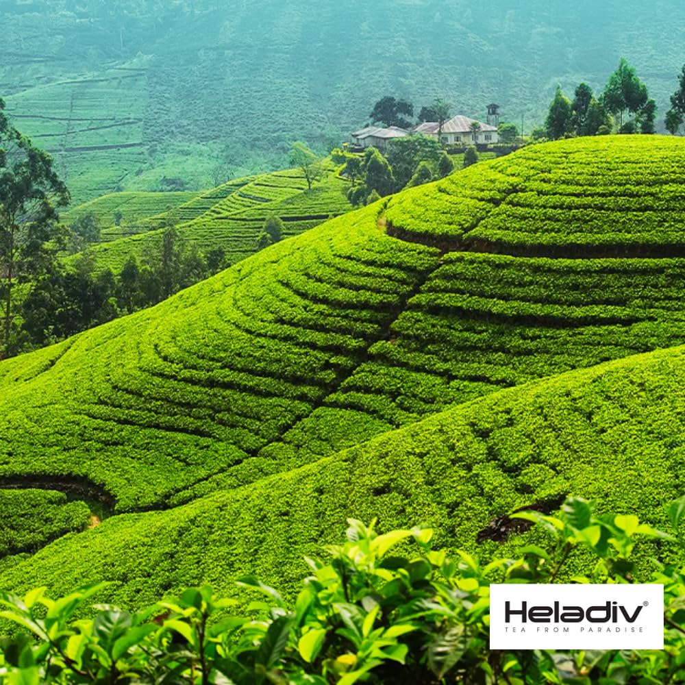 HELADIV Kenilworth Estate Ceylon Loose Leaf Black Tea, 1lb Bag, Aromatic & Full-Bodied, Smooth & Satisfying Brew, Ethically Sourced from Sri Lanka