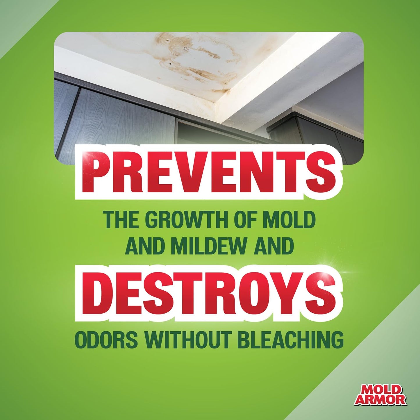 Mold Armor Mold Preventer, Disinfectant & Flood Cleanup