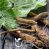 Organic Way Dried Burdock Root | Herbal Tea (Arctium lappa) Cut & Sifted - Organic & Kosher Certified | Raw, Vegan, Non GMO & Gluten Free | USDA