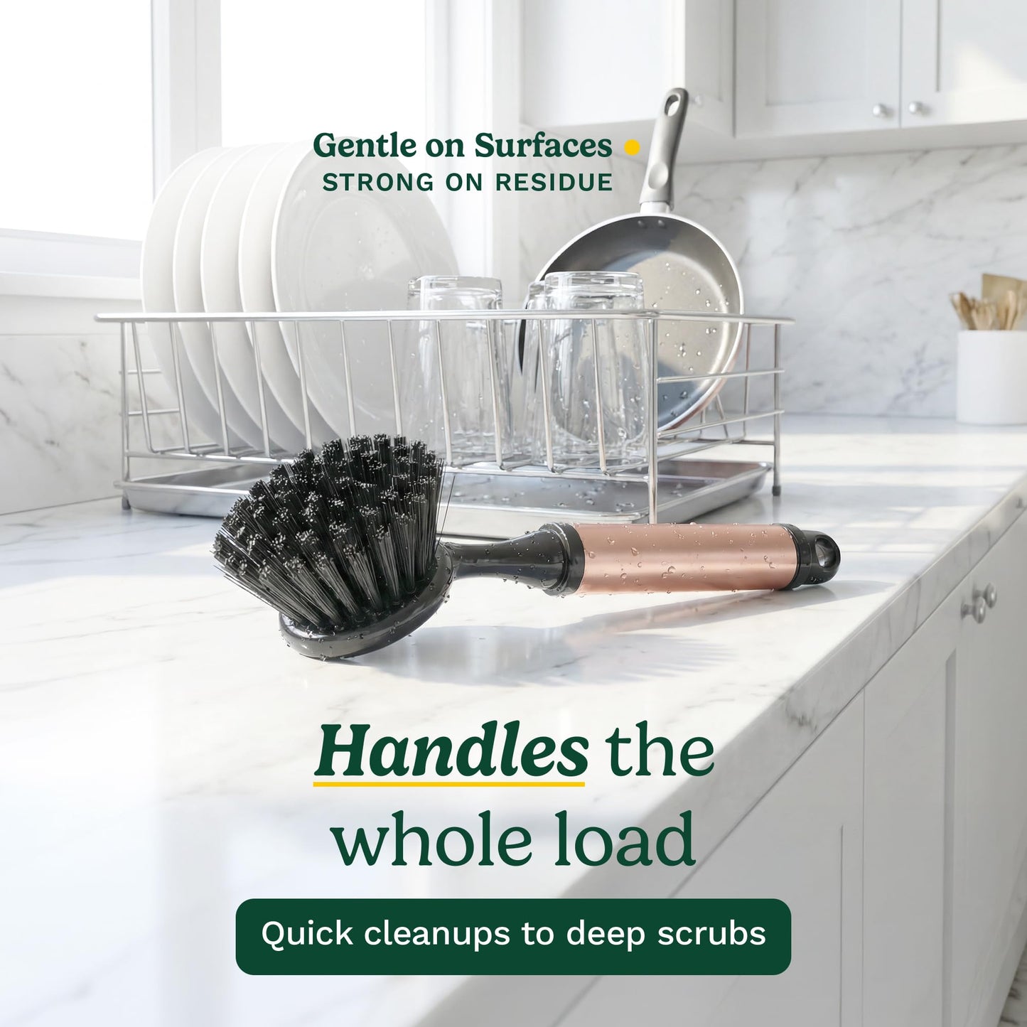 Cuisinart Dish Brush with Handle 2 Pack - Kitchen Scrub Brush for Dishes, Pots & Pans, Non-Scratch Dish Scrubber, Firm Bristles for Sink & Cookware