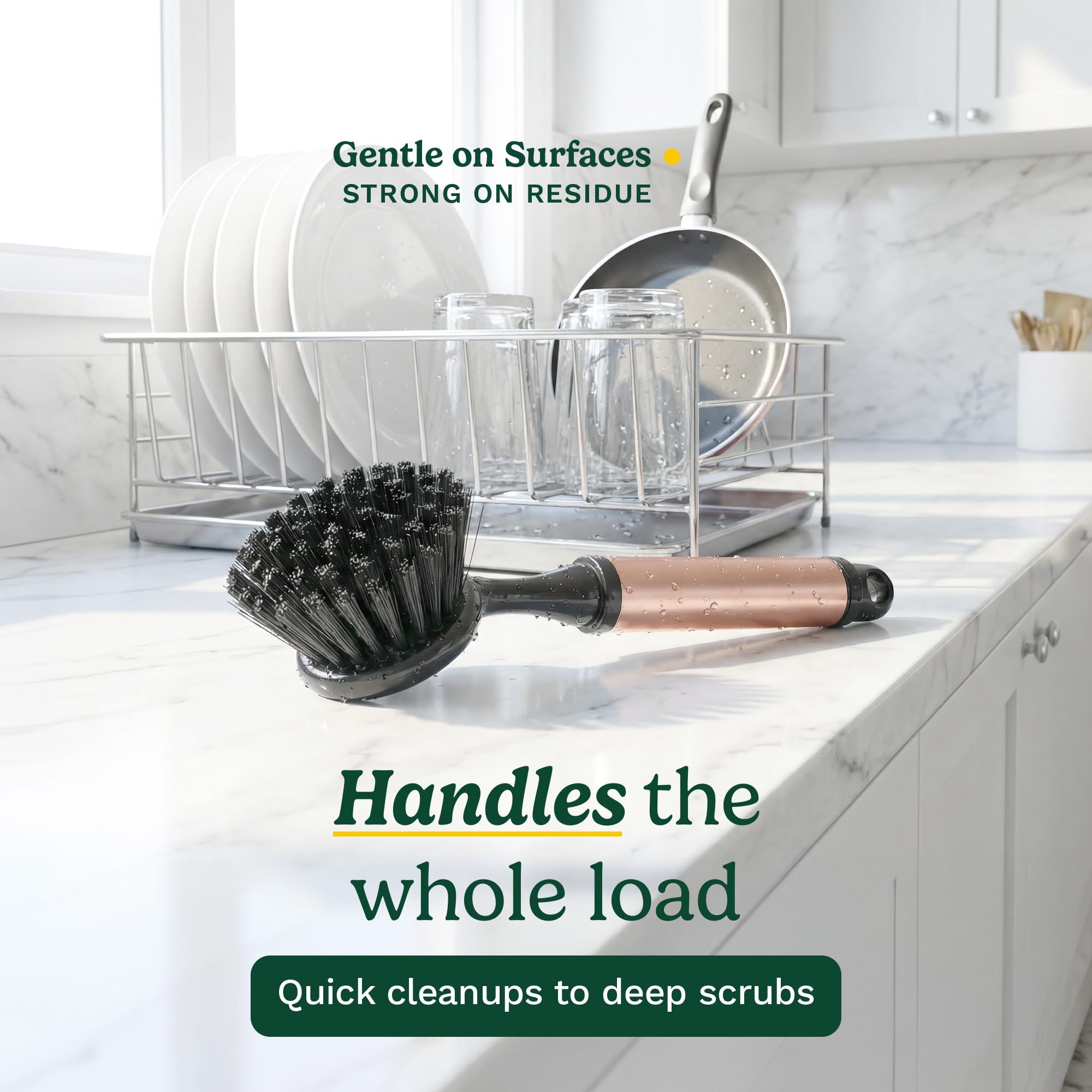 Cuisinart Dish Brush with Handle 2 Pack - Kitchen Scrub Brush for Dishes, Pots & Pans, Non-Scratch Dish Scrubber, Firm Bristles for Sink & Cookware