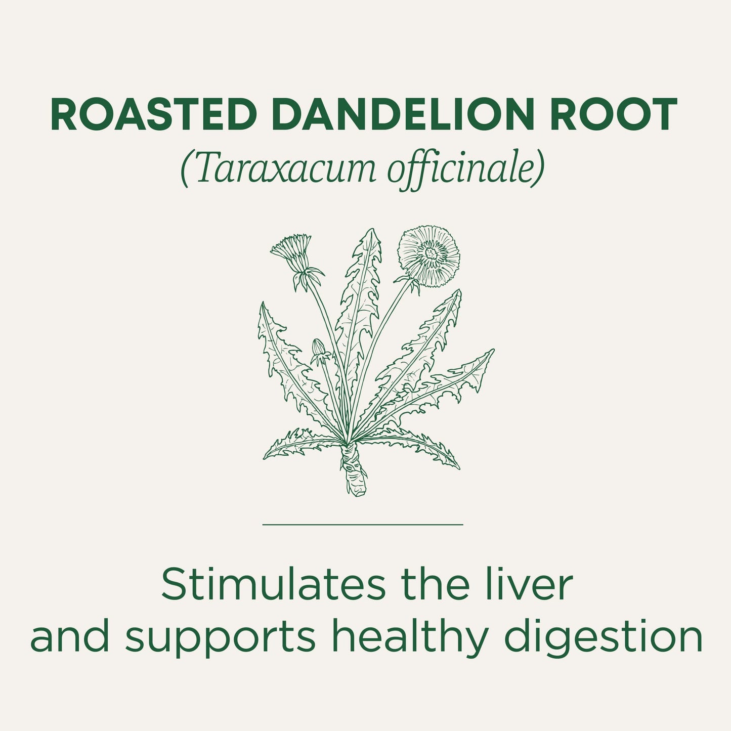 Traditional Medicinals Roasted Dandelion Root Herbal Tea, 16 ct