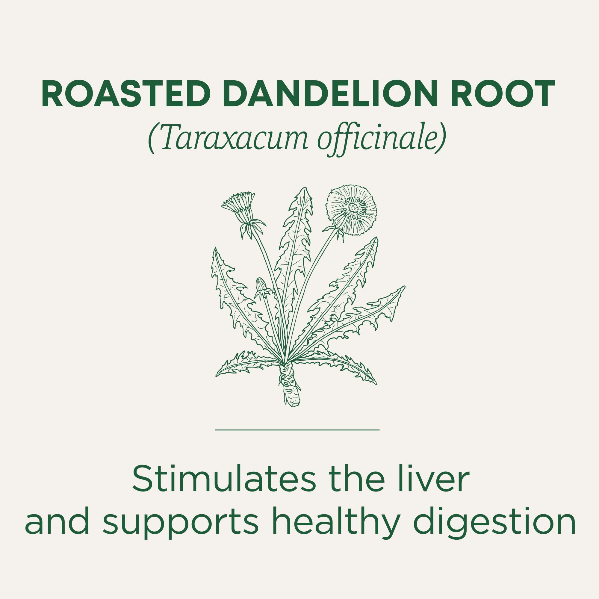 Traditional Medicinals Roasted Dandelion Root Herbal Tea, 16 ct