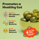 Olive My Pickle Live Culture Probiotic Mixed Olives - 6 Pack Olives Individual Packs of Butter Green Pitted Olives, Red Pepper & Garlic Stuffed Green