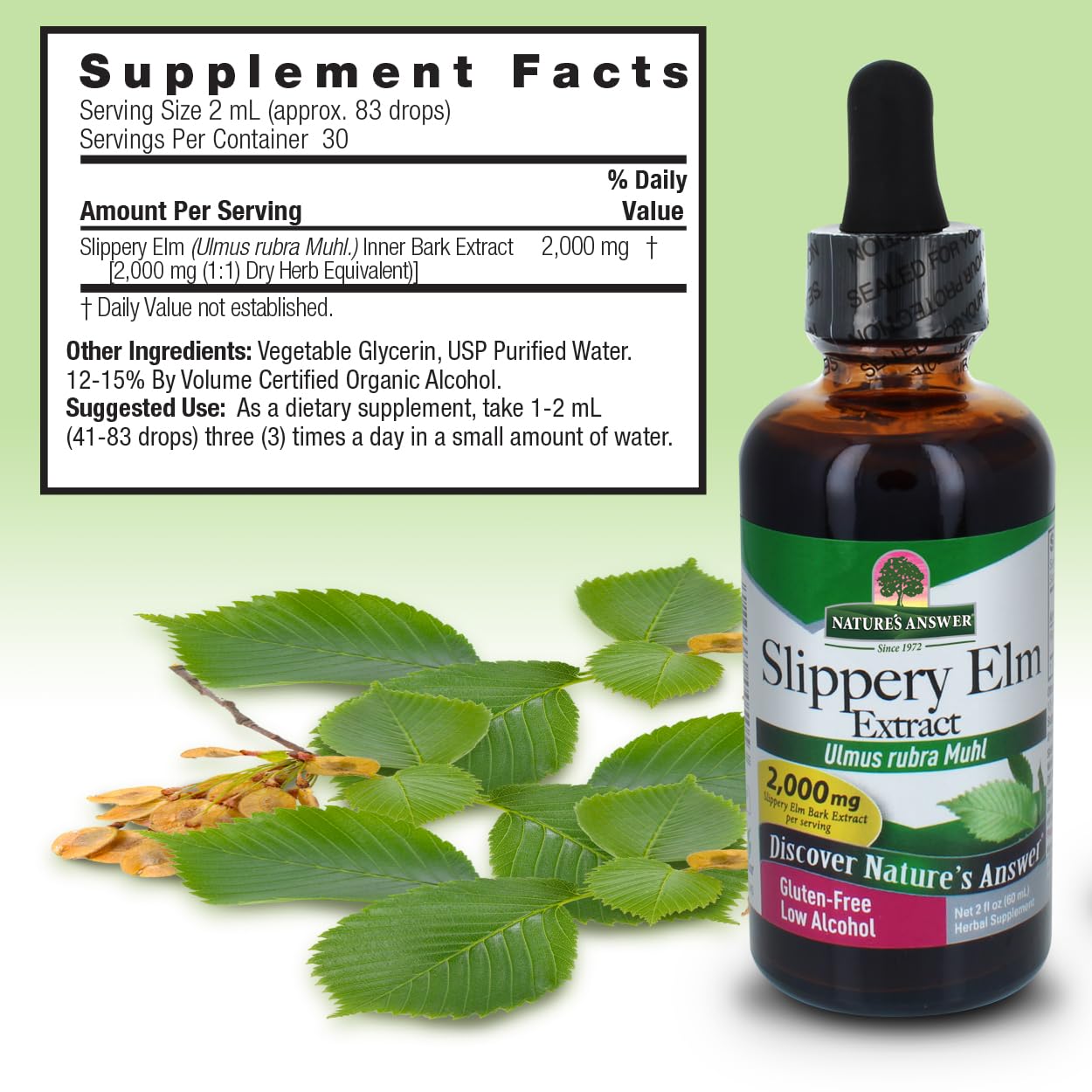 Nature's Answer Slippery Elm | Super Concentrated Herbal Supplement | Promotes Healthy Hair & Skin | Aids in Digestion | Kosher, No Gluten & Low
