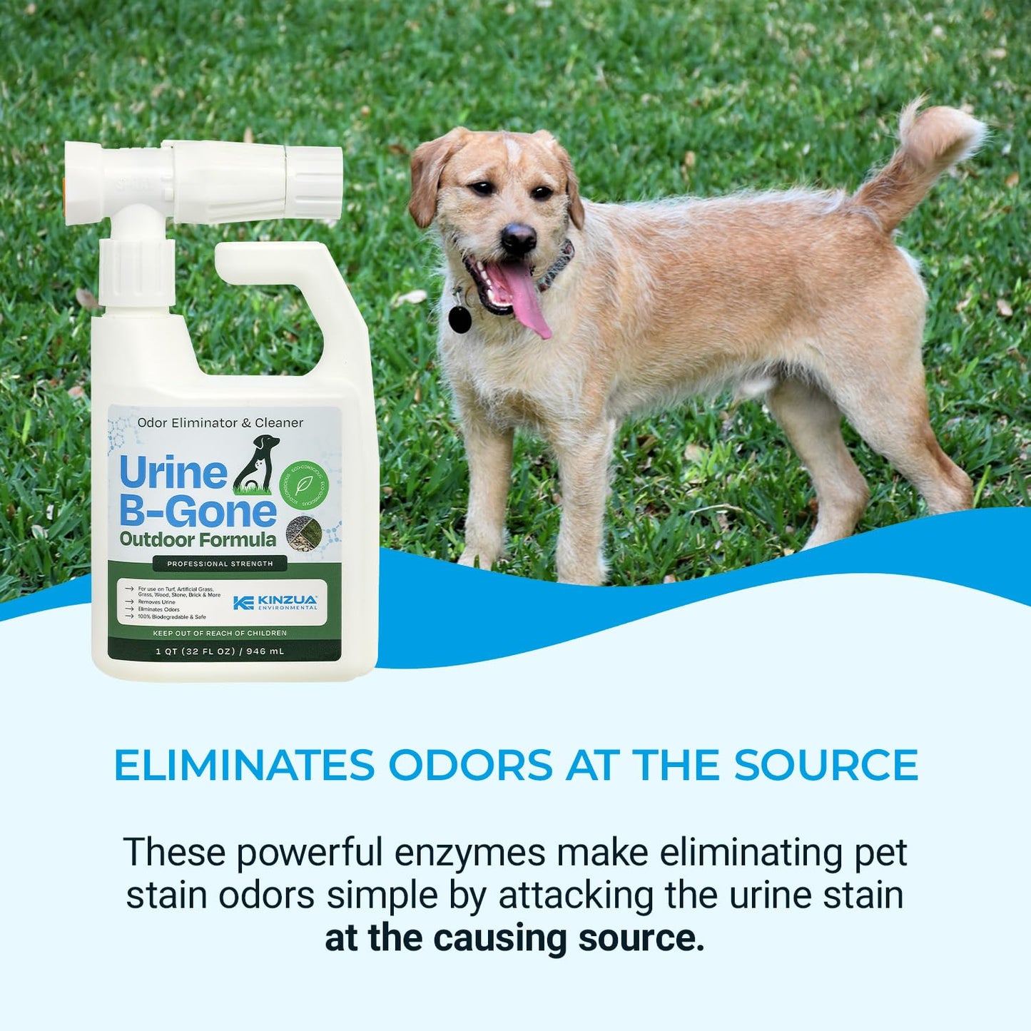 Urine B-Gone OD Professional Pet Urine Enzyme Cleaner, Pet Yard Odor Eliminator for Artificial Grass, Concrete & More, 32 fl oz