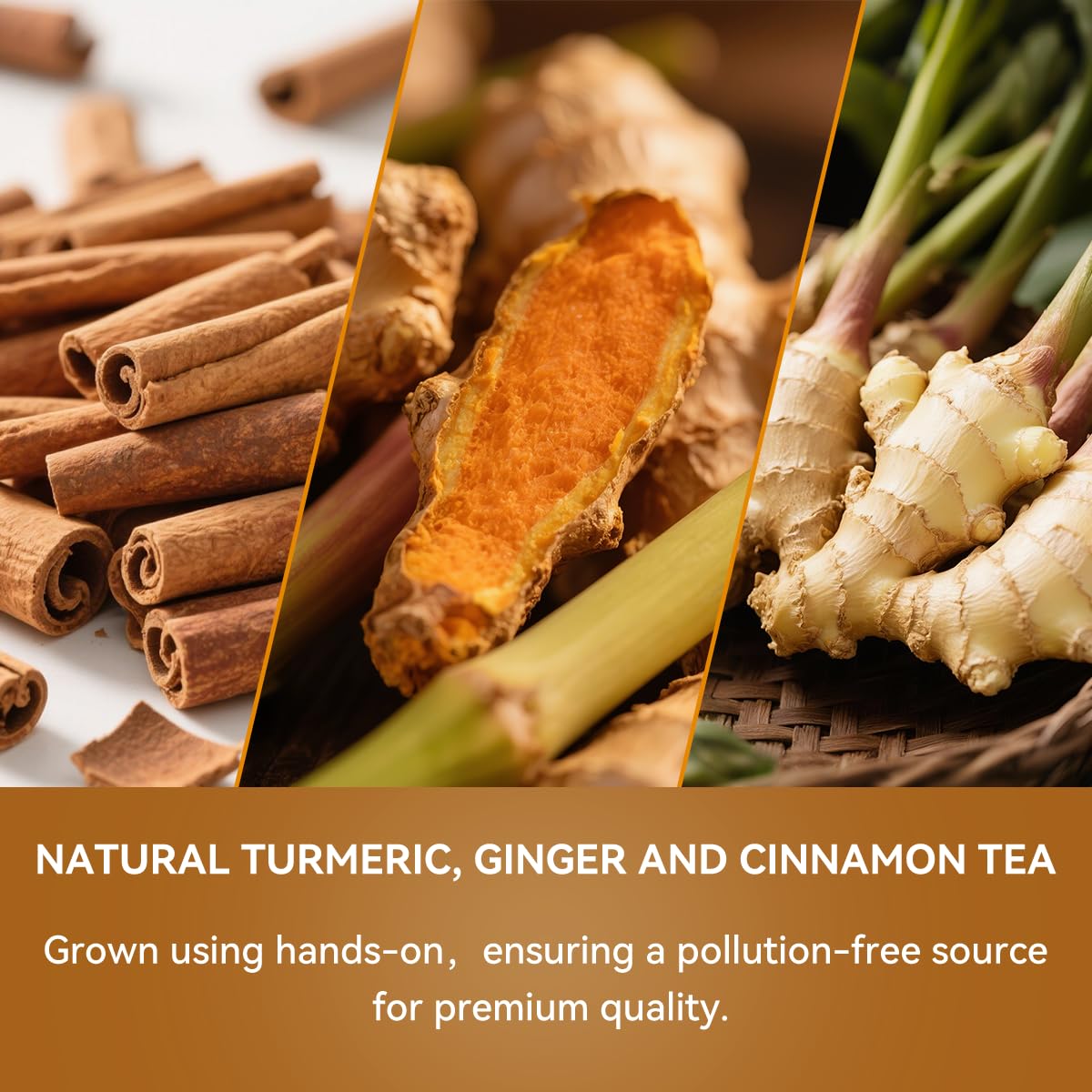 BEICAI 240g/120-Count Premium Turmeric Ginger Cinnamon Tea Bags | 100% Natural, Triangular Corn Fiber for Full-Bodied Brew | Supports Digestive