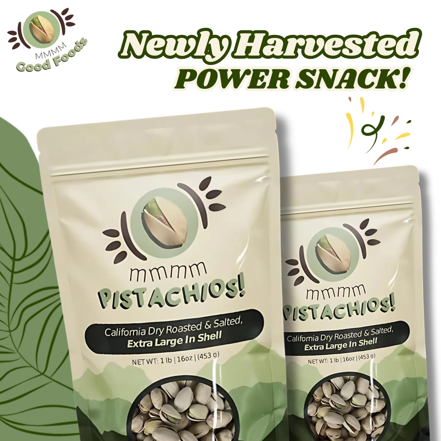 mmmm Pistachios! Dry Roasted Salted Extra Large In-Shell Pistachios, 1 Pound (16 oz) | California Grown Freshly Harvested | Vegan Gluten Free Non-GMO