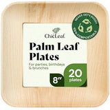 Chic Leaf Palm Leaf Plates 8 Inch - Square Disposable Bamboo-Style Dinnerware, Heavy Duty & Compostable Areca Leaf Serving Dishes for Appetizers