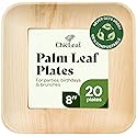 Chic Leaf Palm Leaf Plates 8 Inch - Square Disposable Bamboo-Style Dinnerware, Heavy Duty & Compostable Areca Leaf Serving Dishes for Appetizers