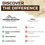 KAMUT Flour (3 lb) Whole Wheat Flour, Great for Whole Grain Bread and Baking, All-Natural, USDA Organic, OU Kosher Certified, Milled from Ancient