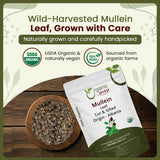 Organic Way Mullein Leaf | Herbal Tea (Verbascum thapsus) Cut & Sifted - European Wild-Harvest | Organic & Kosher Certified | Non GMO & USDA Certified