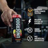 Underdog Performance Energy Drink, Variety Pack, Nootropics, Green Tea Extract, Citrulline, Clean, Sugar Free Fast & Slow Release 249mg Caffeine per