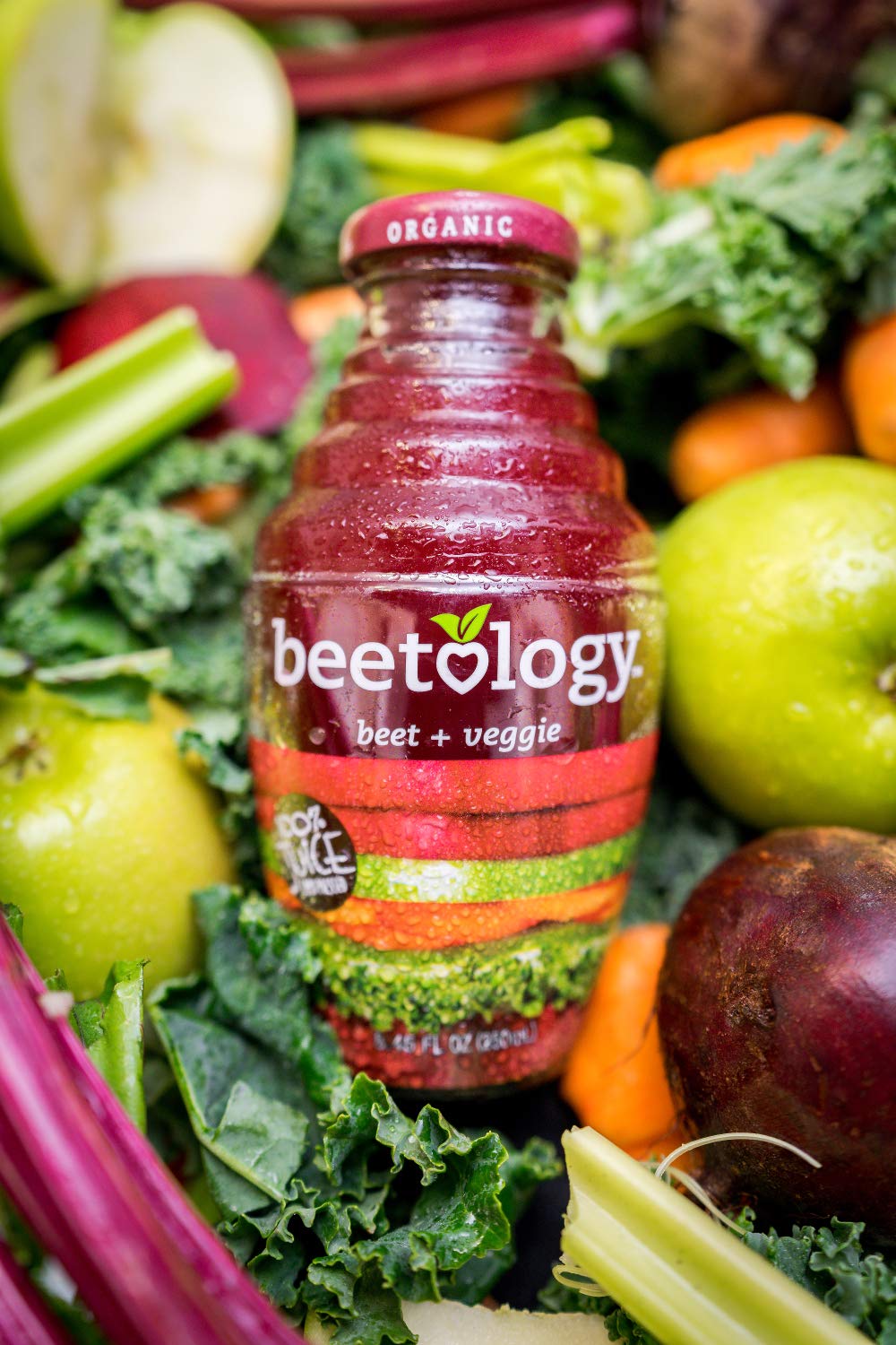 Beetology Organic Beet Juice 8.45oz "Variety Pack", 2 bottles each of: Beet + Veggie, Beet + Lemon Ginger, Beet + Cherry (6 Pack) Wonder Beet Juices |
