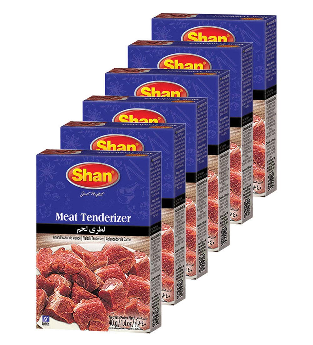Shan Meat Tenderizer Seasoning Mix 1.4 oz (40g) - Double Strength Tenderizing High Altitude Cooking Powder - Suitable for Vegetarians - Airtight Bag