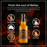 SPYCE Habanero Hot Sauce, Vegan, Gluten Free, Low Sodium, Non-GMO, No MSG, No Sugar, No Filler (10 oz, Mango Habanero)