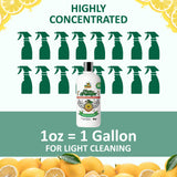 Lots of Lemon - Clean Crusader Cold Pressed Lemon Oil Concentrate - All Purpose Cleaner & Air Freshener - 16oz 1 pack