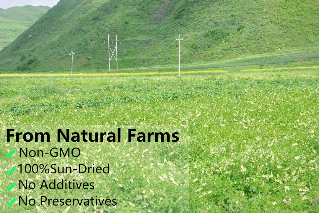 Premium Astragalus Root Tea Slices/12 Oz(339g),Featured ?? Pure and Natural,No additives,Cut and Sifted Herbal Tea.