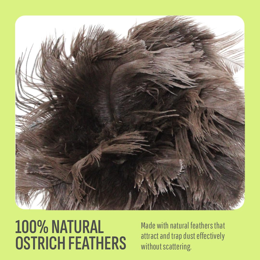 Retractable Feather Duster 8-14 in Adjustable - Natural Ostrich Feather Duster for Cleaning Ceiling Fans, Blinds, Plantation Shutters, Walls