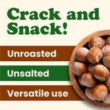 Food to Live Hazelnuts in Shell, 6 Pounds - Oregon Whole Filberts for Snacking Baking and Crafts, Unsalted, Unroasted, Keto, Vegan, Kosher, Bulk Nuts