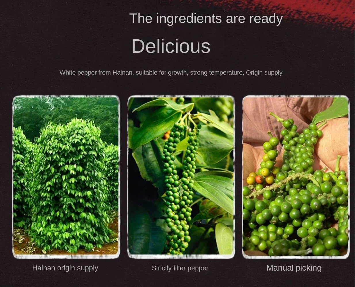Zercumm Pure White Peppercorn 250G Spicy Soup Seasoning Pickled Barbecue Spices