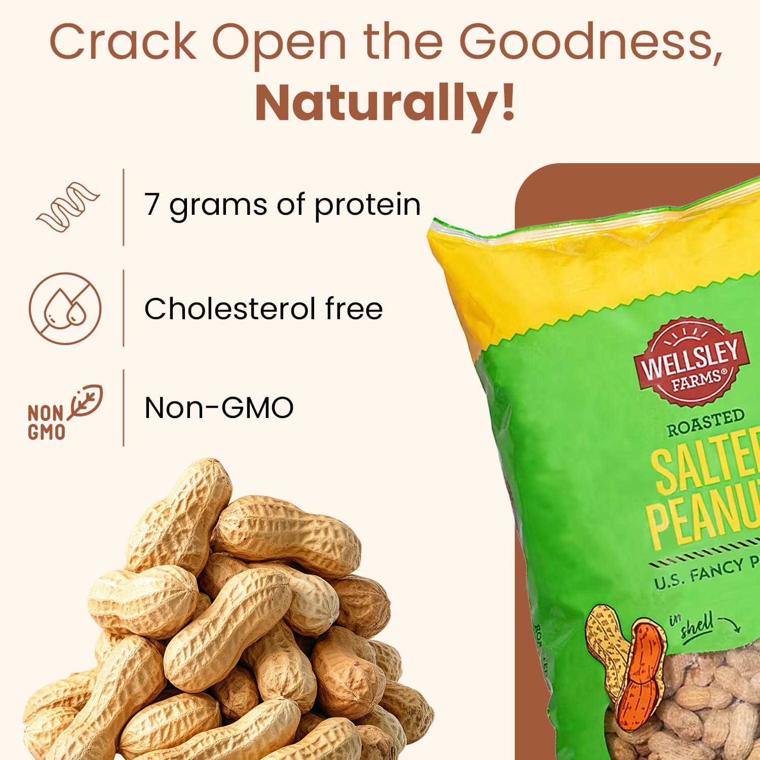 Wellsley Farms Salted Roasted Peanuts In Shell, USA Grown Whole, Non-GMO, Gluten-Free, Vegan, Cholesterol-Free, Shell-Cracking Snack for Game Day, BBQ