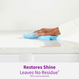 Rejuvenate Granite & Stone Daily Cleaner Cleans Sealed Stone Countertops Including Granite, Marble, Quartz And Onyx Removing Dirt, Grease And Oil