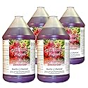 Quality Chemical Cherry Double Refresh Odor Counteractant Concentrate / 5 gallon pail