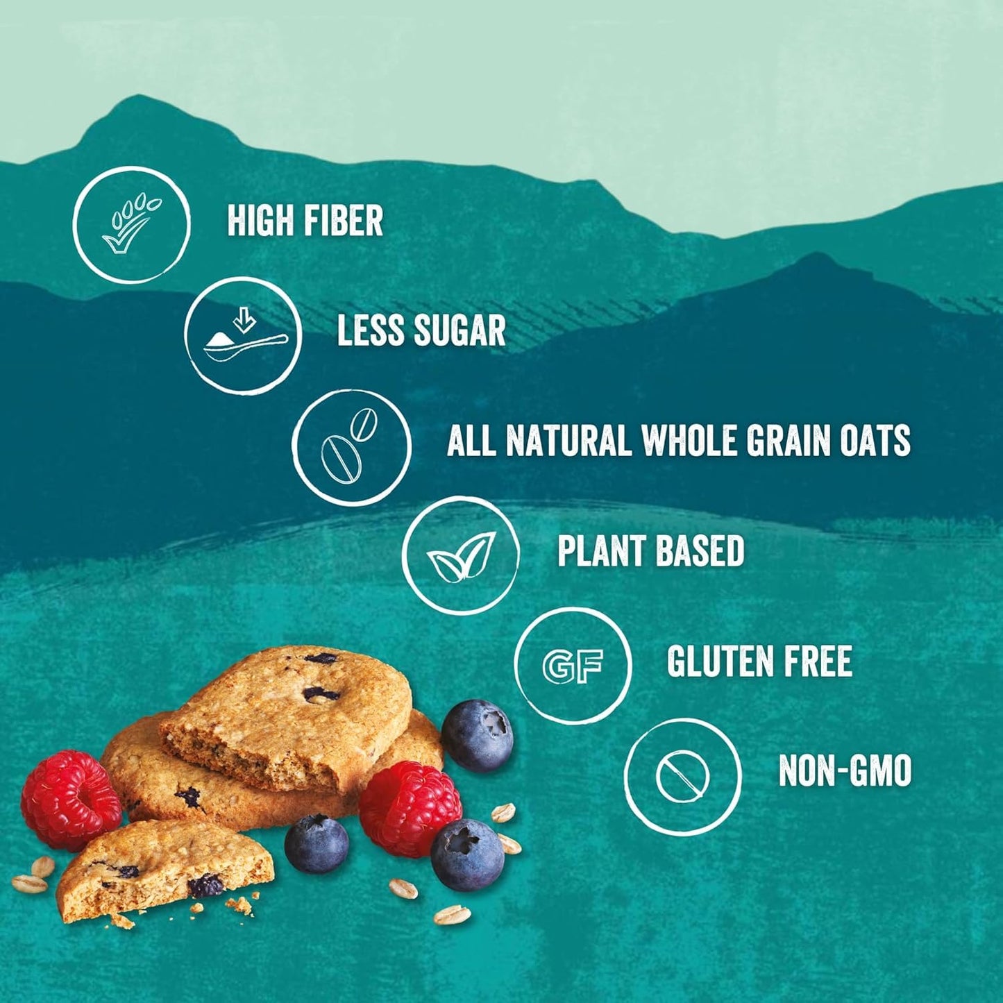 Nairn's Gluten-Free Blueberry and Raspberry Breakfast Biscuits - Healthy, Tasty, High Fiber, Non-GMO, No Artificial Colors, Flavors, or Preservatives