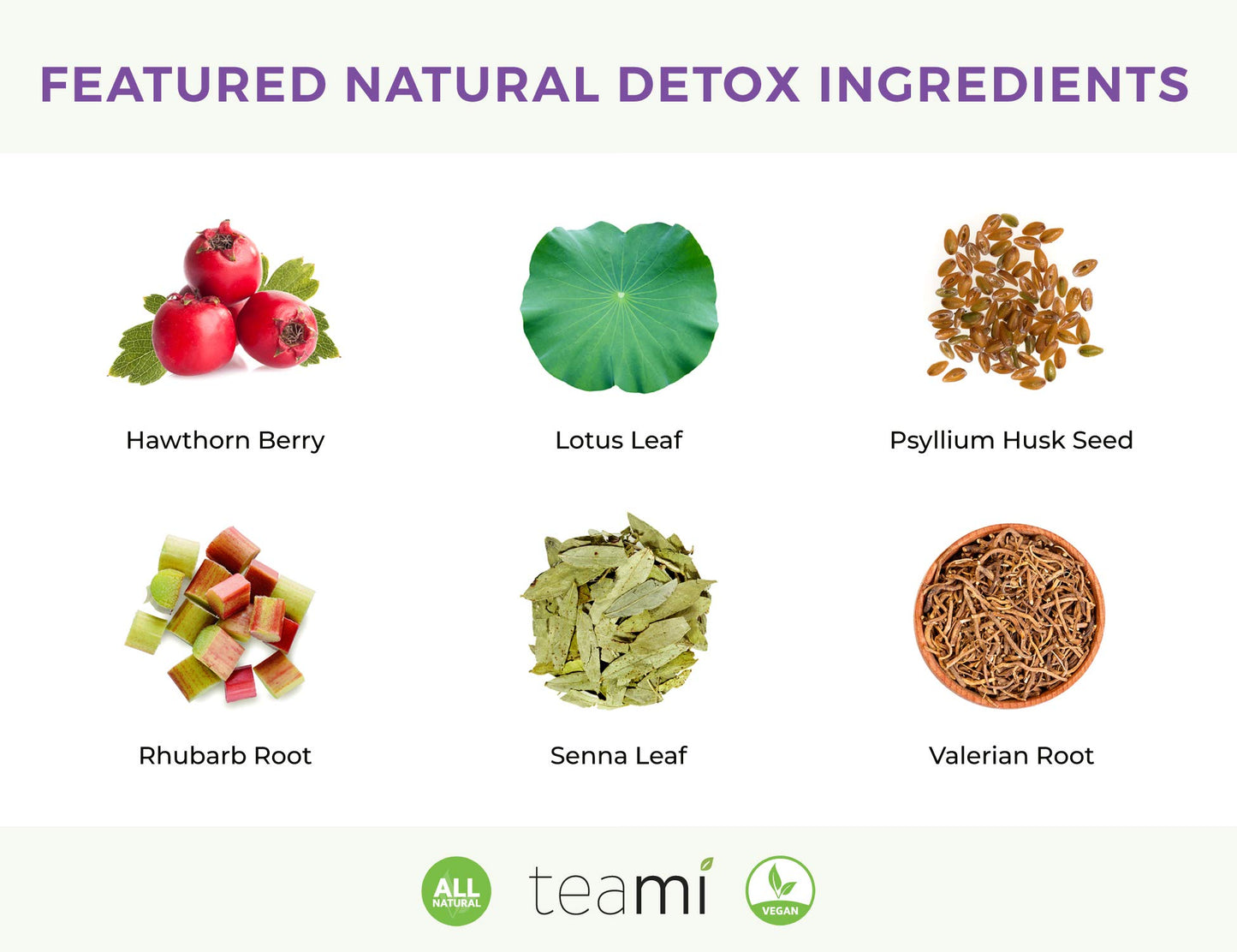 Teami® Colon Cleanse and Detox Tea for Men & Women | 30 Day Supply
