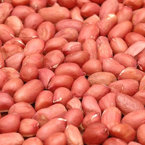 Roasted Unsalted Redskin Peanuts by Its Delish, 2 lbs Bulk Bag | Gourmet Red Skin Peanut Snack Nuts with No Shell | Salt Free, Vegan, Kosher