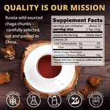 Chaga Mushroom Chunks - 8 Ounce, 100% Wild Harvested with Black Top Crust, Premium Raw Chaga Tea Chunks - Antioxidants, Focus, Healthy Drinks