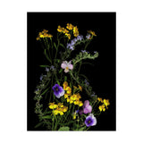 Susan S. Barmon 'Rosemary And French Tarragon' Canvas Art