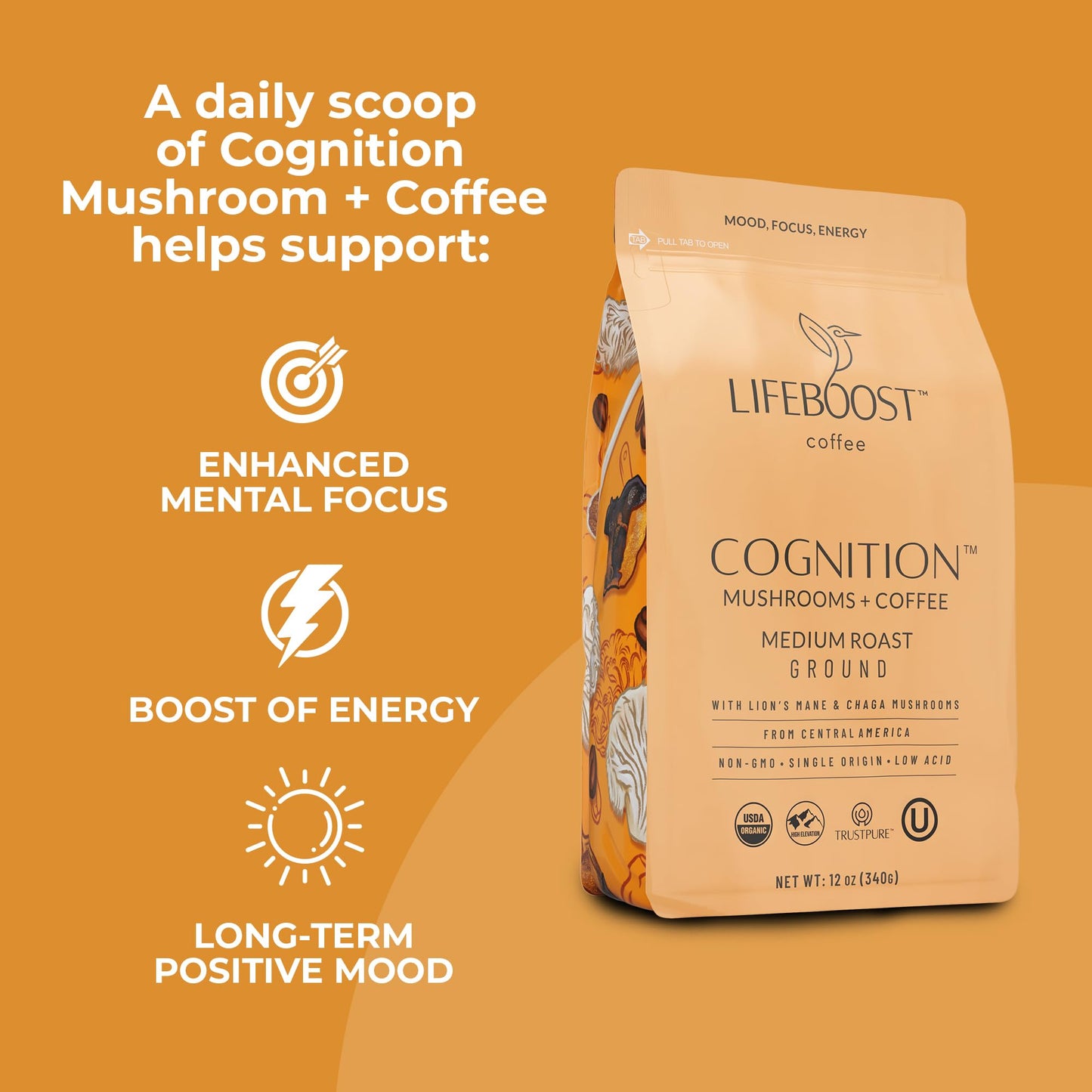 Lifeboost Cognition Focus Coffee for Calm Energy - Lion’s Mane Mushroom Coffee with Chaga - Organic Medium Roast Nootropic Coffee - Low Acid