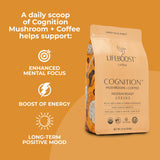 Lifeboost Cognition Focus Coffee for Calm Energy - Lion’s Mane Mushroom Coffee with Chaga - Organic Medium Roast Nootropic Coffee - Low Acid